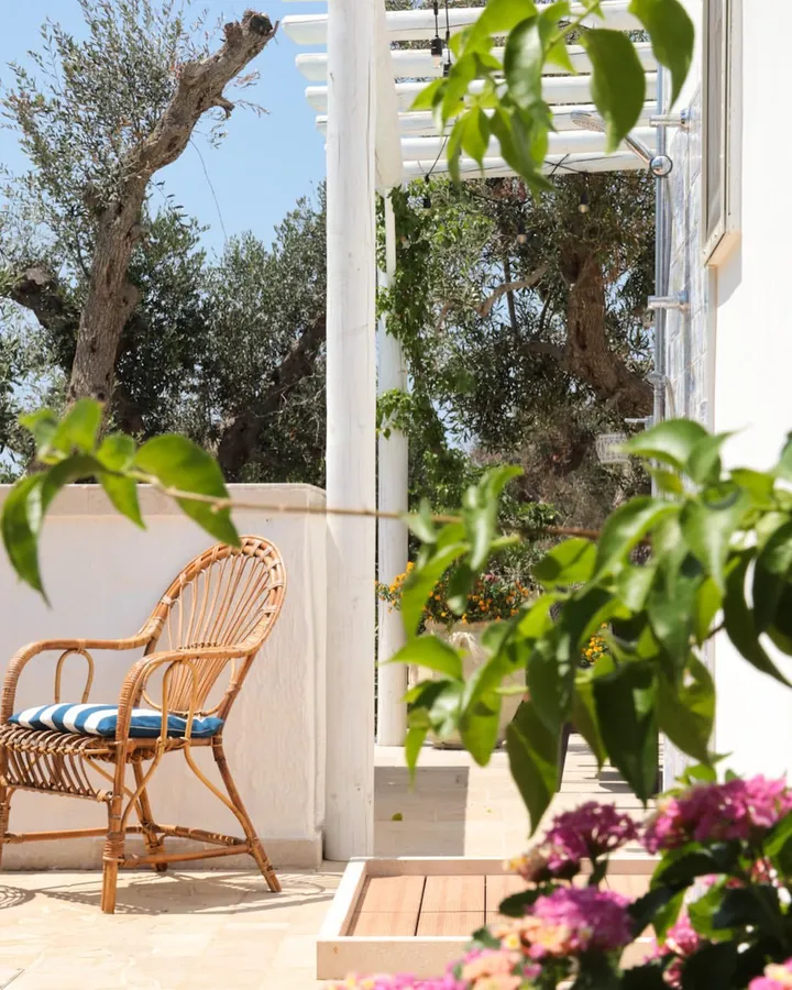 Terrazza con poltrona in vimini affacciata sugli ulivi