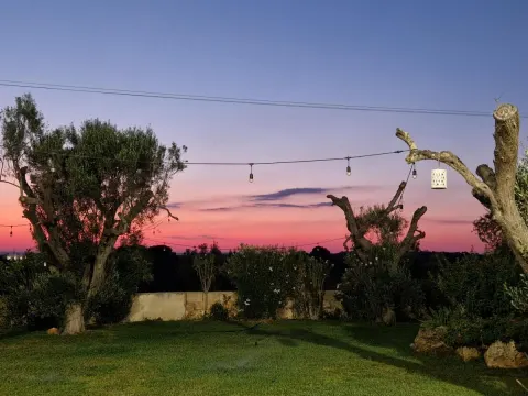 Tramonto visto dal giardino con le lucine appese agli ulivi